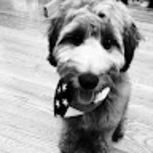 Meet your Posher, Kaia